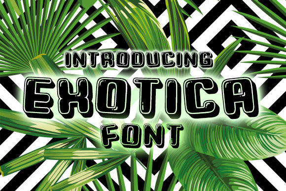 A Designer’s Review of the Exotica Display Font for Modern Campaigns